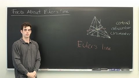 Facts About Euler