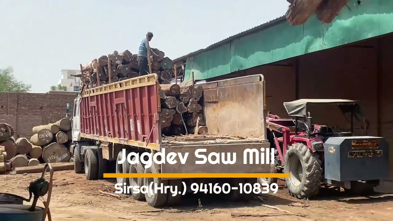 Dealing in Top quality Teak wood or Sagwan wood || More stock of teak wood at Jagdev Saw Mill, Sirsa