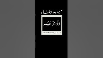 ألم تر كيف فعل ربك بأصحاب الفيل 🌱 سورة الفيل 🌱 احمد العجمي 🌱 كروما شاشه سوداء قرآن بدون حقوق 🌱