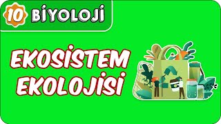 Ekosistem Ekolojisi | 10. Sınıf Biyoloji