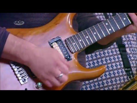 ზაურ შავგულიძე | საპოვნელა