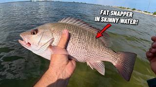 This Tampa Bay Florida Spot was loaded with Snapper!!