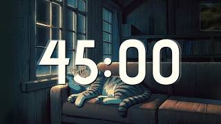 45 Minute Rain Sound Timer |  Extended Focus