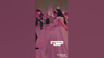 اعراس جزائرية تيك توك 