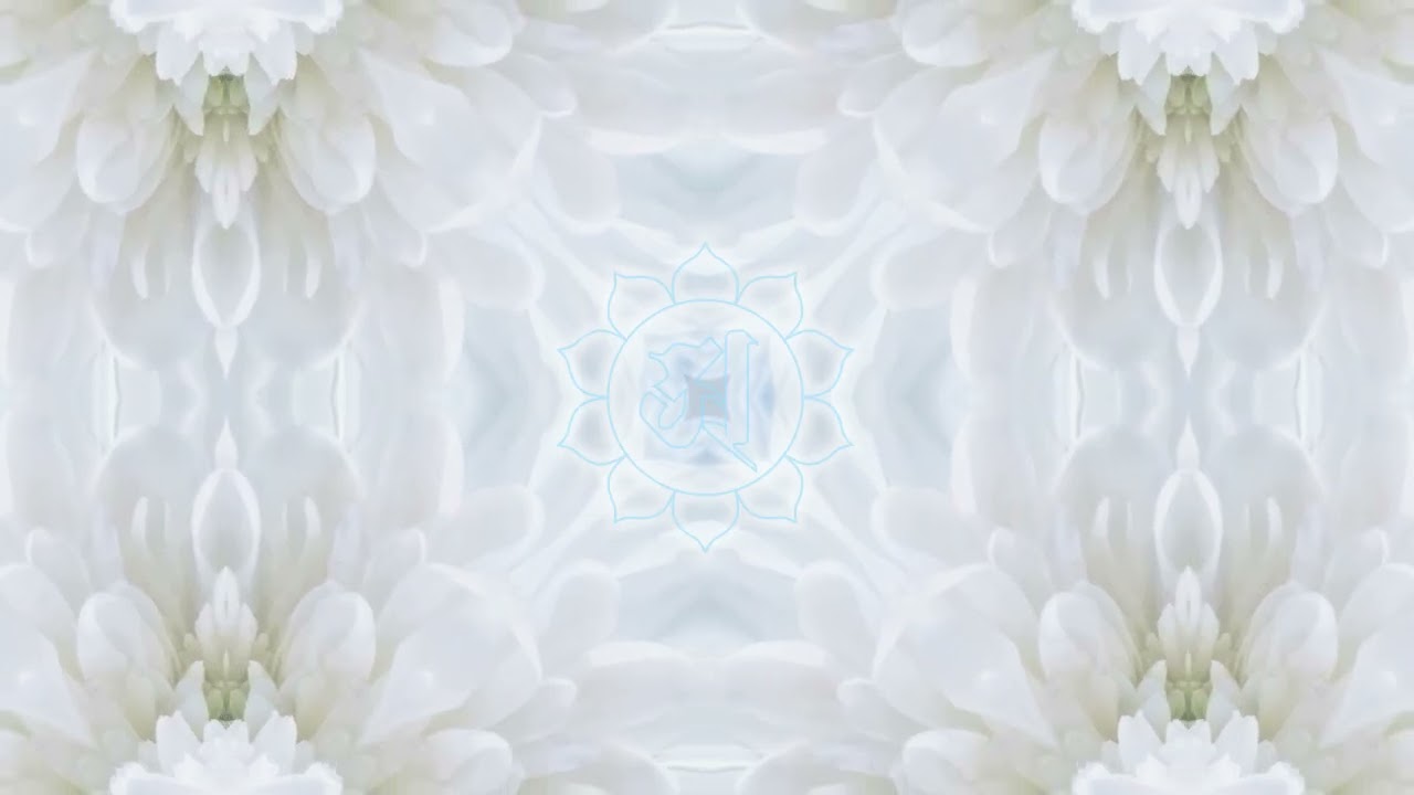 【528Hz】花の映像×水の声 | エネルギーを整える周波数音楽 1時間 #528hz #ソルフェジオ周波数 #watervoice