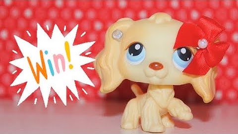 Lps Intro And Outro Contest! (Read Description)