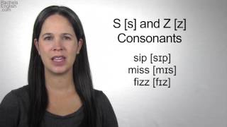 English Sounds   S s and Z z Consonants   How to make the S and Z Consonants