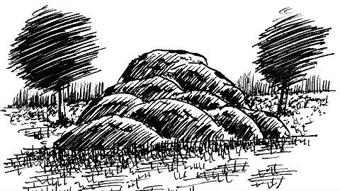 Pen and Ink Drawing Tutorial :Demo 51