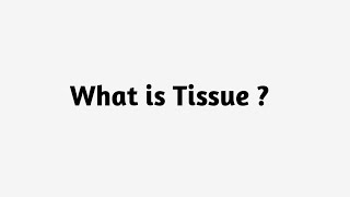 What is Tissue