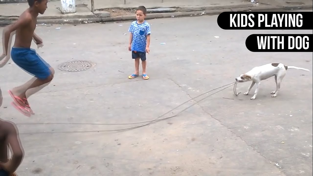 Jump Roping Dog Dog helps kids play with jump rope - YouTube