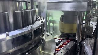 Tomato Paste 400 cans per minute