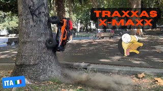 Traxxas XMaxx 8s Extreme tree jumping