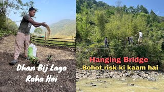 Bohot Risk Ki Kaam Hai Dhan Bij Laga Diya Village Life