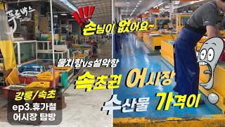 속초권으로 오니 어시장 물가가...@@ 여기도 손님이 정말 없네요 [휴가철 어시장 탐방 ep.3] [물치/설악]