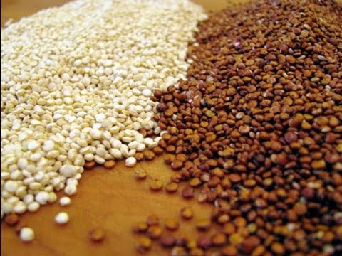 Quinoa 101 - How To Make, Use and Store Quinoa