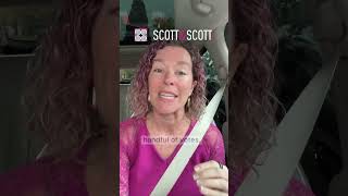 If You Don’t Vote, You Can’t Bitch | Your Sound Counsel