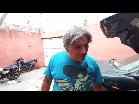 Winpot diadelasmadres tonala