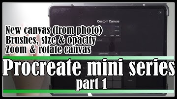 iPad procreate mini series part 1 | new canvas, brushes, zoom & rotate, undo & redo | Art by Sabrina