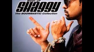 Shaggy   Strength of a Woman