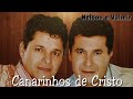 MELHORES MÚSICAS DOS CANARINHOS DE CRISTO COMPLETO 2020