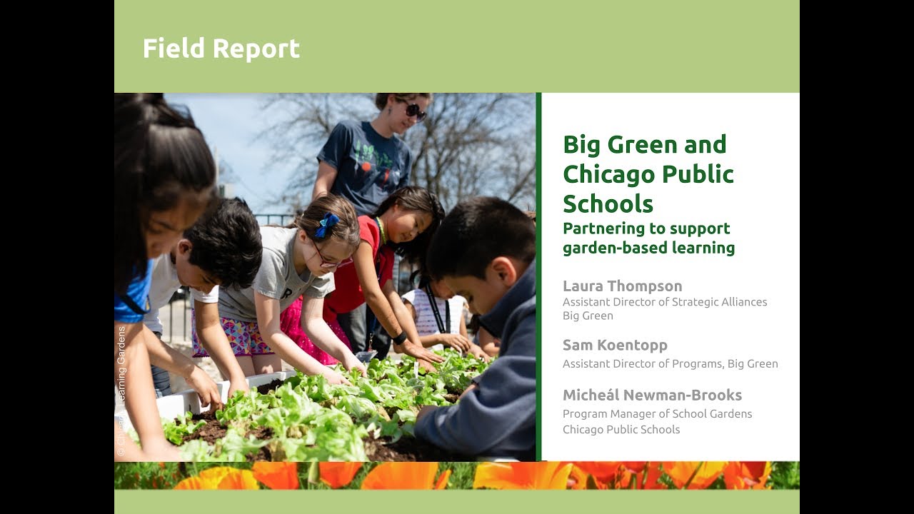 Case Study: Linden Waldorf School — National COVID-19 Outdoor Learning  Initiative — Green Schoolyards America