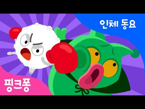 전쟁이다! 세균 vs 백혈구 | 인체 동요 | 바디송 | 인체과학 동요 | 핑크퐁! 인기동요