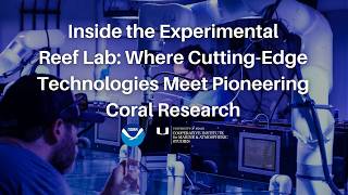 Inside the Experimental Reef Lab: Where Cutting-Edge Technologies Meet Pioneering Coral Research