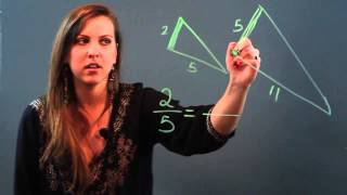 How to Determine the Similarity of Shapes Using Proportions