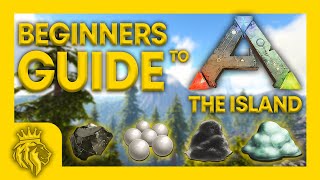 BEGINNERS GUIDE To The Island! | NOOB To PRO In 8 Mins! | ARK: Survival Evolved