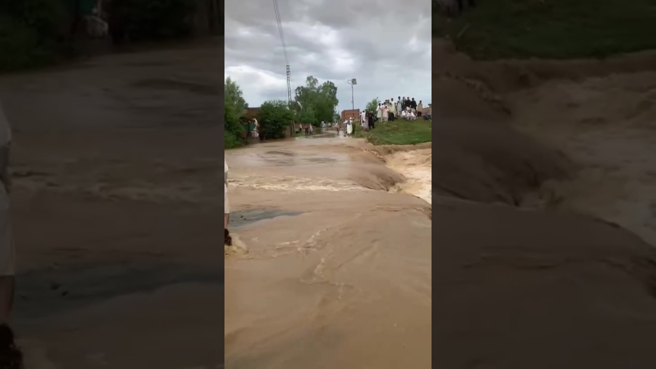 Life paralyzed due to flooding after heavy rain in Swabi صوابی | Swabi flood situation 