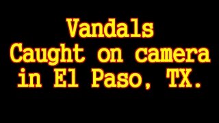 Vandals egging vehicles in El Paso, Texas - Caught on camera