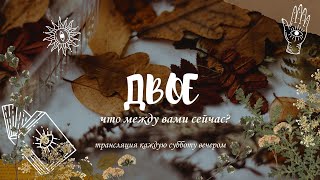картинка: ЧТО МЕЖДУ ВАМИ ~ Какие перспективы? #гадание #таро #таролог #отношения 