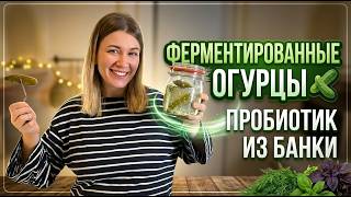ФЕРМЕНТИРОВАННЫЕ ОГУРЦЫ 🥒 ПРОБИОТИК ИЗ БАНКИ