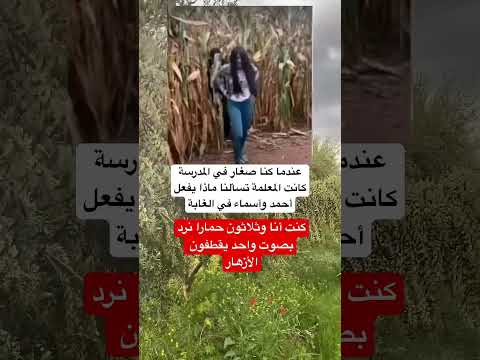 عندما كنا صغار في المدرسة كانت المعلمة تسألنا ماذا يفعل أحمد وأسماء في الغابة اكسبلور اقنباسات