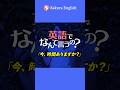 英語でなんて言うの?「あたなに電話しましょうか？」#031 #英会話 #英語 #英語学習