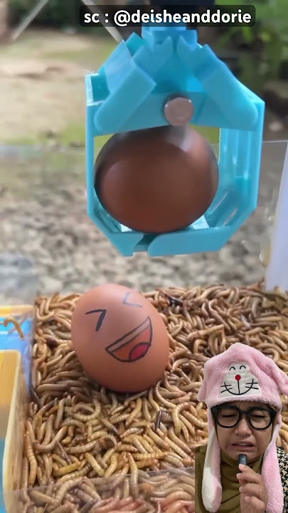 oh no, why are there so many caterpillars in the eggs #short #remix