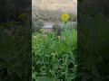 ١ فبراير ٢٠٢٦