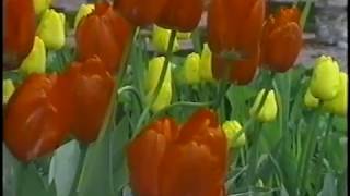 The Butchant Gardens A Video Memory