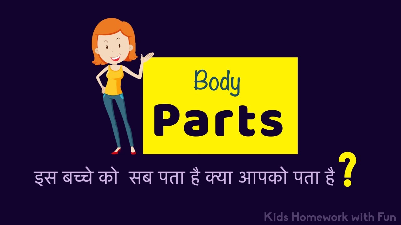 Human Body Parts - YouTube