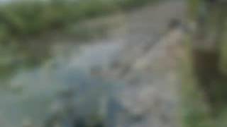 Viral Bestari Kan  Lirikmusik dhm Feat Erk 