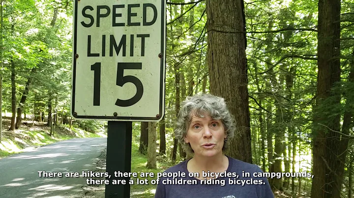 Safety Tip - Speed Limits