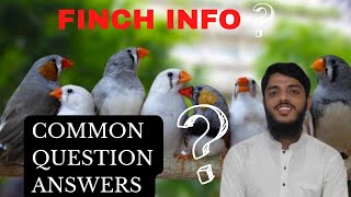 Finches Related Questions answers | चिड़ियों की जानकारी | فنچ کاکاروبار کیسے کریں | by NK Birds 275 views 1 year ago 15 minutes
