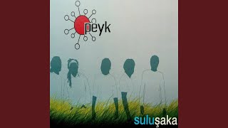 Video thumbnail of "Peyk - Gidin"