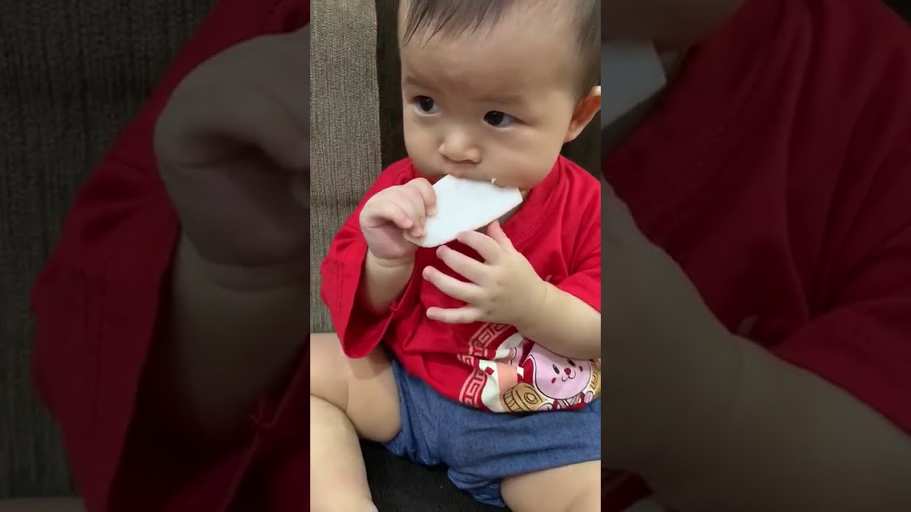 baby bites rice rusks