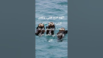 #الرقية_الشرعية #سورة_الكهف #حمزة_بوديب #سورة_البقرة #تحصين #اكسبلور #ذواقه #automobile #حلات