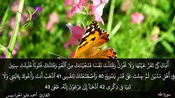 الصفحة 314 سورة طه بصوت القارئ المهندس أحمد فايز الحراسيس