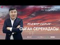 Тоқтар Серіков - Сыған серенадасы  (аудио)