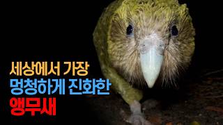 느린 백과 대표 영상 썸네일