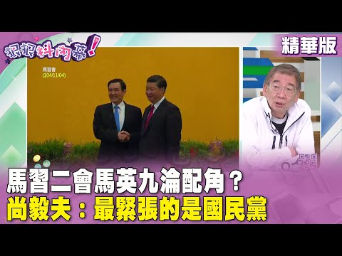 精華片段》馬習二會 #馬英九 淪配角？#尚毅夫：最緊張的是 #國民黨【#狠狠抖內幕】2024.03.27