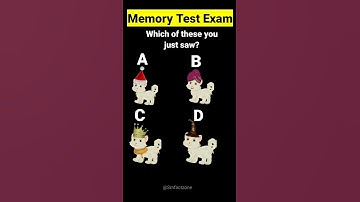 Memory Test Exam | Riddles Quiz #shorts #riddles @BRIGHTSIDEOFFICIAL